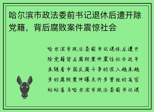 哈尔滨市政法委前书记退休后遭开除党籍，背后腐败案件震惊社会